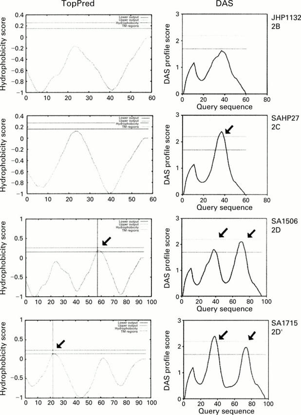 Figure 4  