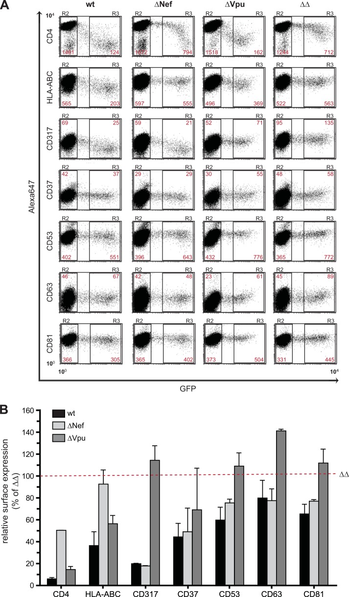 FIG 3