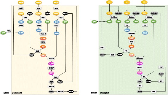 Fig. 3