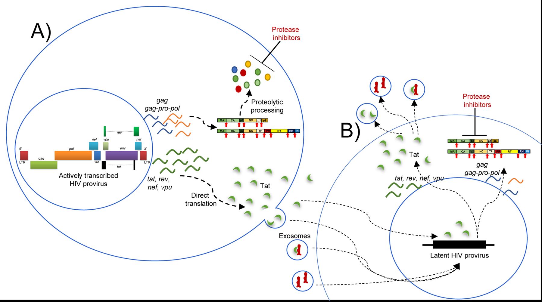 Figure 5.