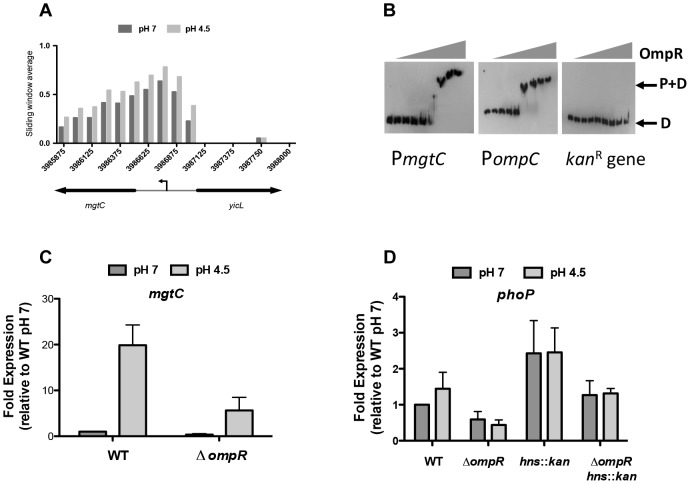 Figure 5