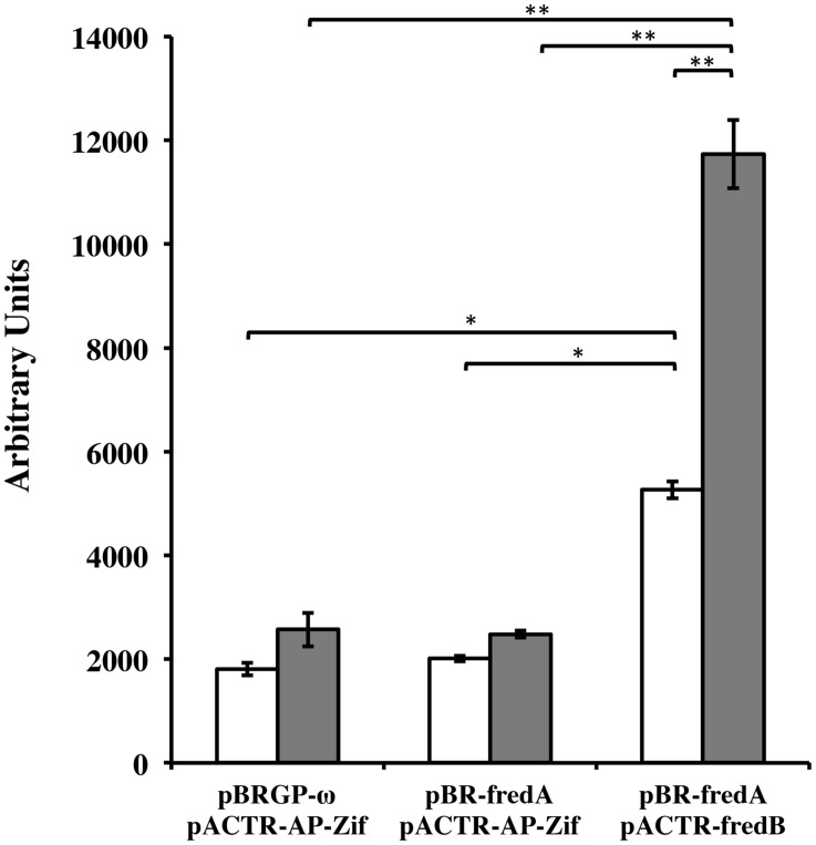 FIGURE 6