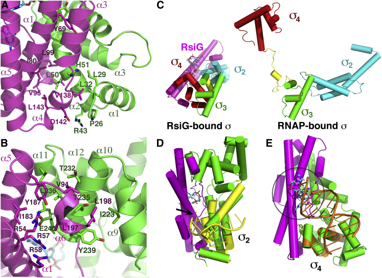 Figure 6