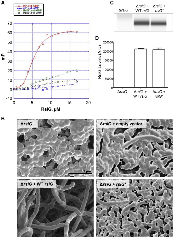 Figure 7