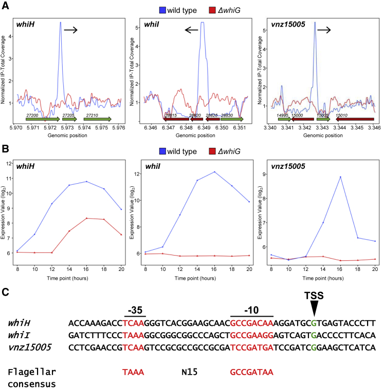 Figure 2