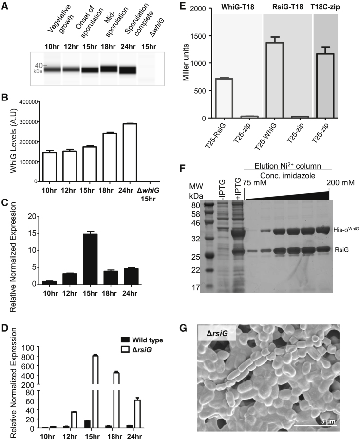 Figure 4