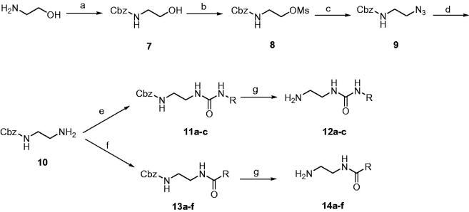 Scheme 2.