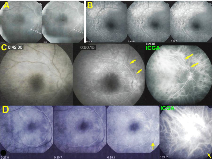 Fig. 6