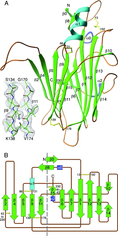 FIG. 2.