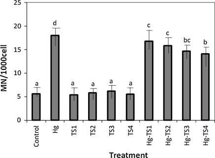 Fig. 4