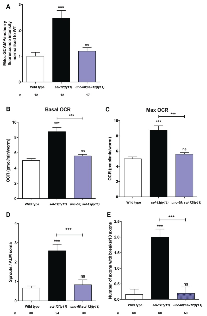 Figure 6—figure supplement 1.