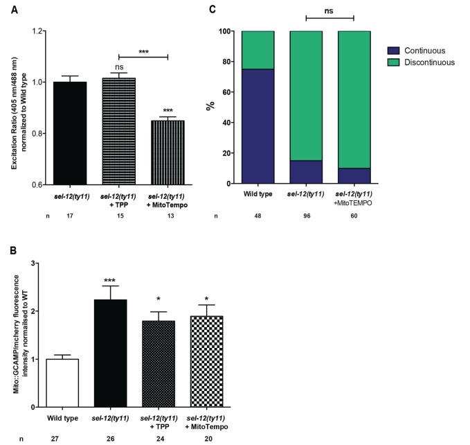 Figure 9—figure supplement 1.