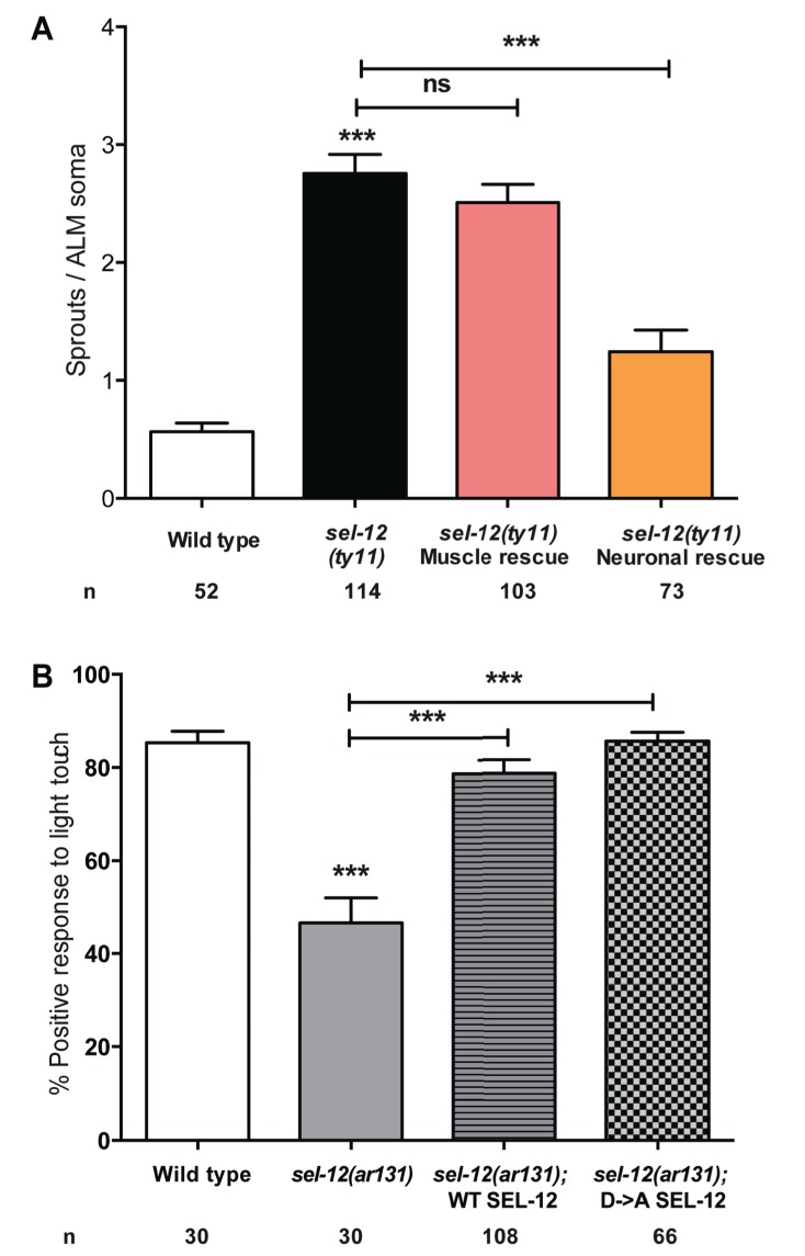 Figure 3—figure supplement 1.