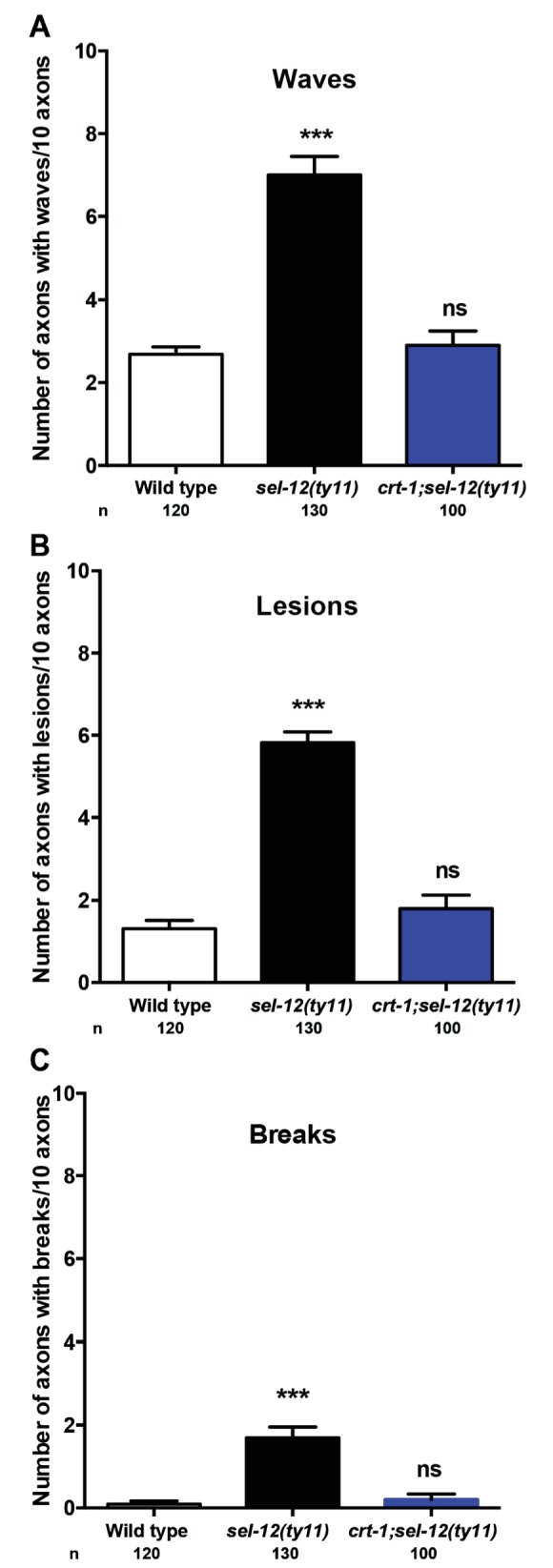 Figure 6—figure supplement 2.