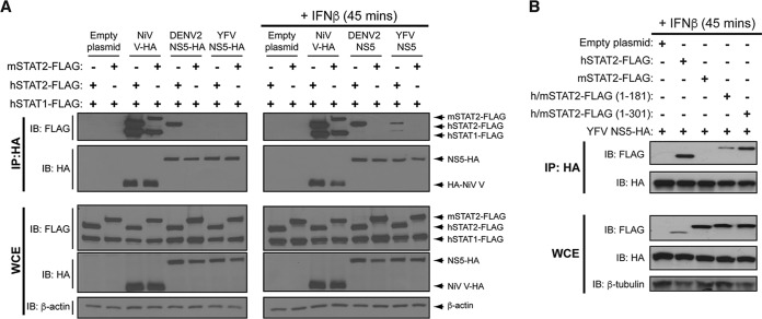 FIG 2