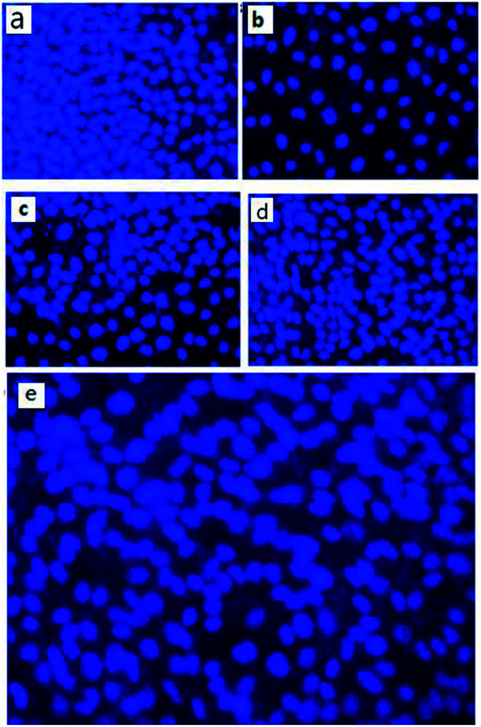 Fig. 11