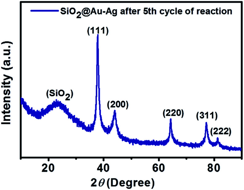 Fig. 13