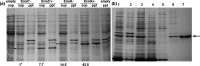FIG 2