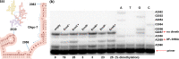 FIG 4