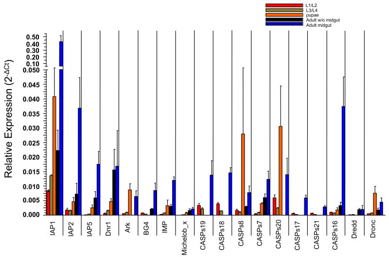 Figure 5