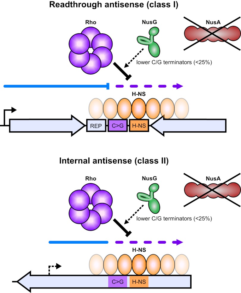 Figure 7.