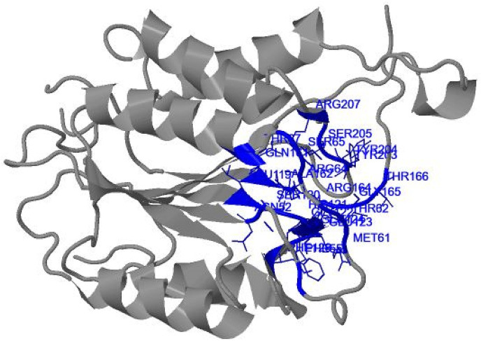 Fig. 8