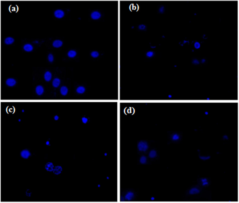 Fig. 6