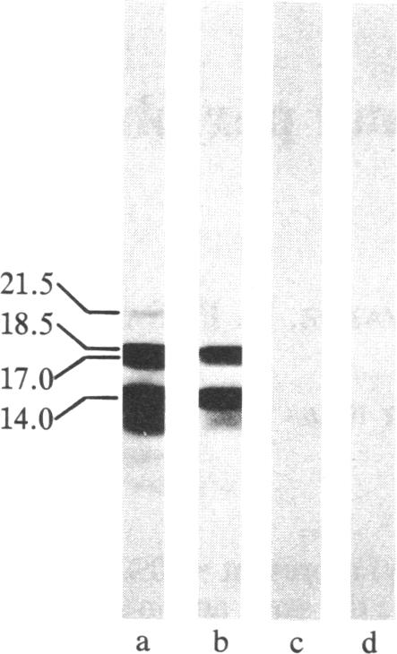 graphic file with name pnas00308-0287-a.jpg