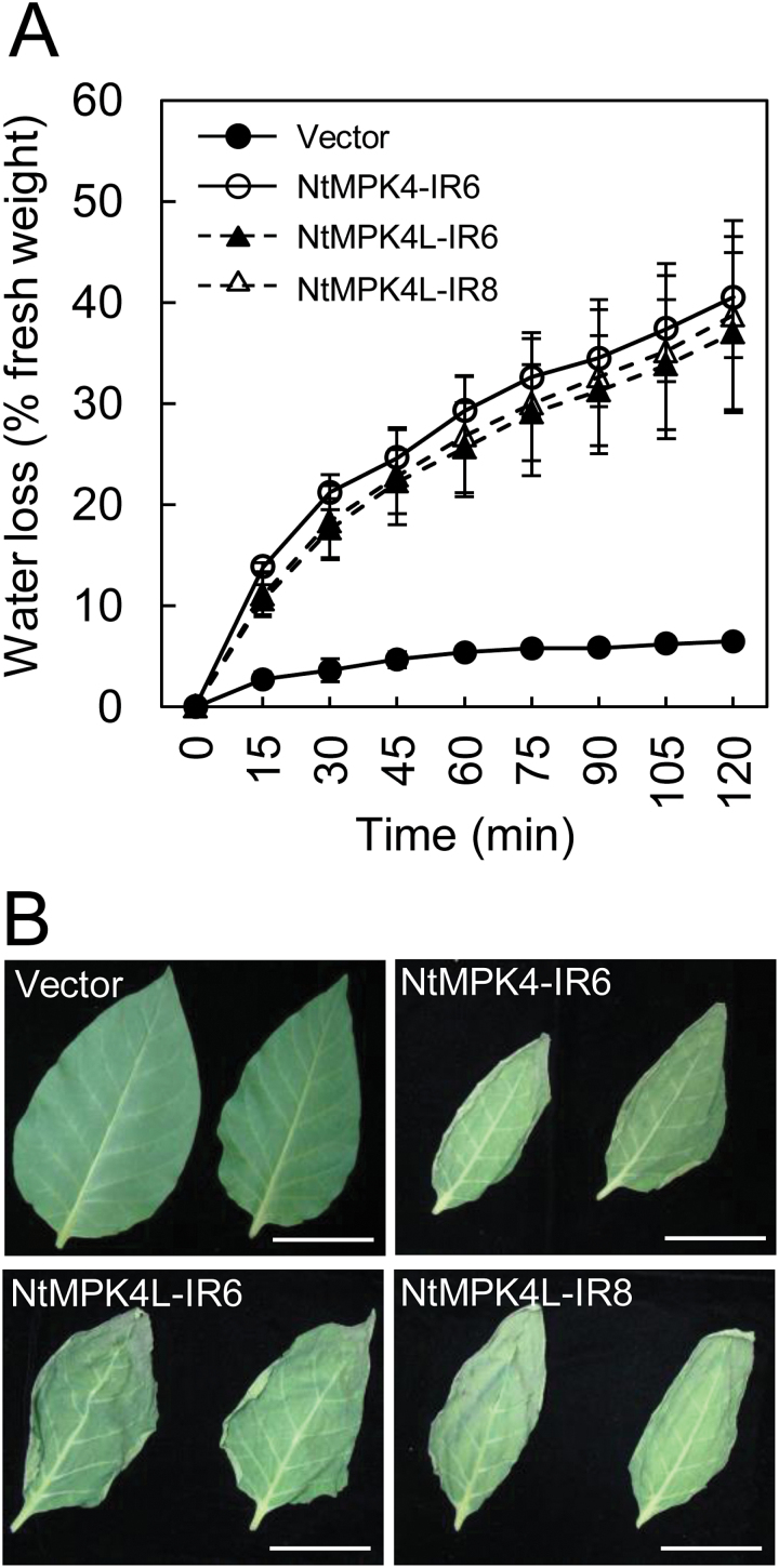 Fig. 4.