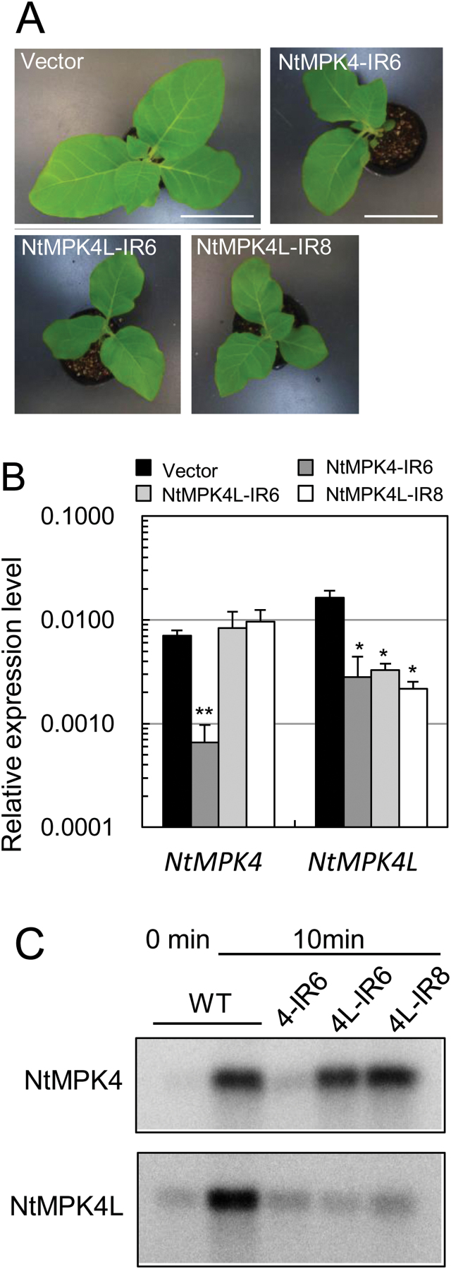 Fig. 3.