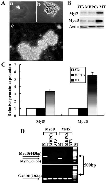 Figure 3.