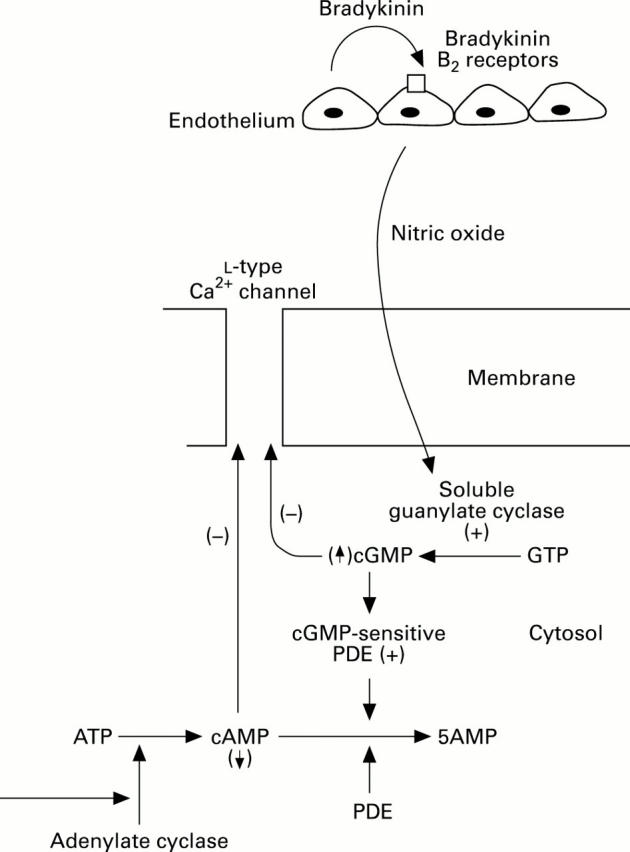 Figure 2  