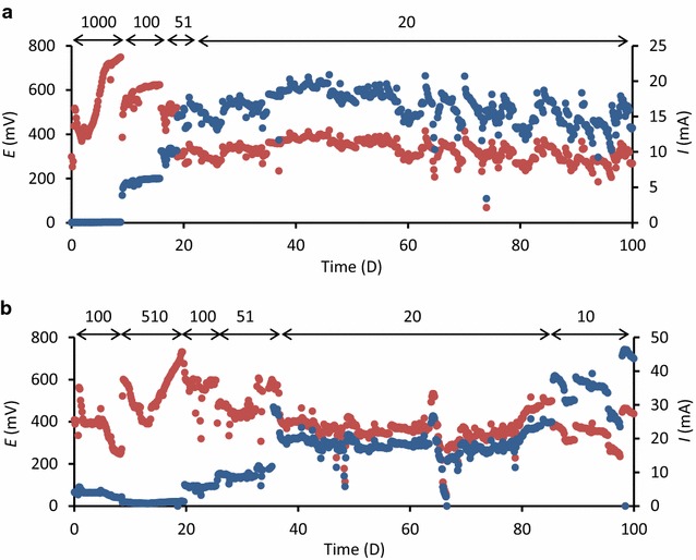 Fig. 4