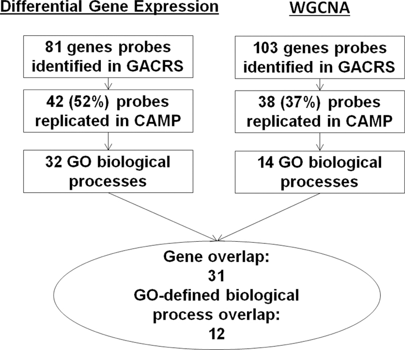 Figure 3;