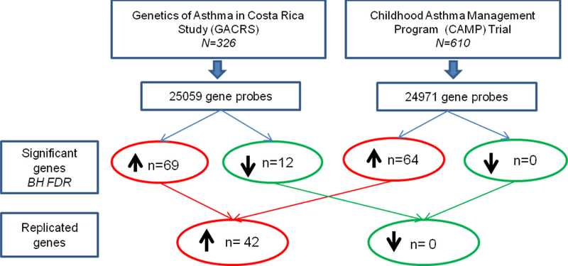 Figure 1;