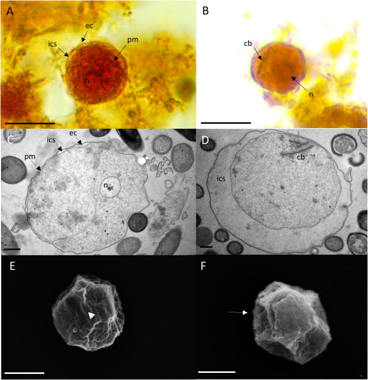 Figure 2