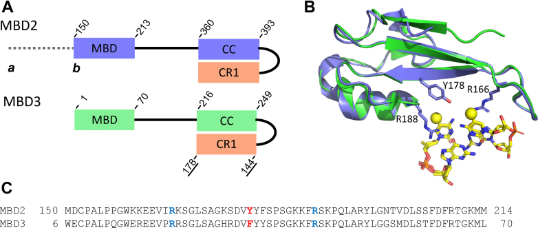 Figure 1