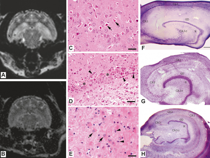 Fig 1.