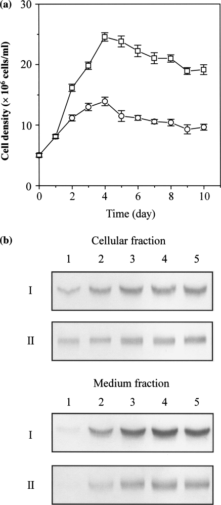 Fig. 5