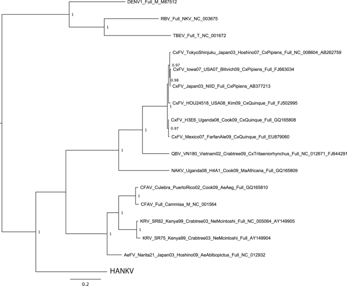 Fig. NS3 and AAV3