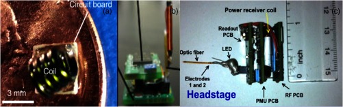 Fig. 3