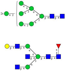 graphic file with name cancers-12-03700-i019.jpg