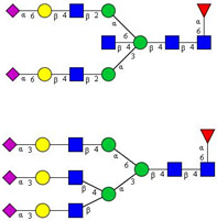 graphic file with name cancers-12-03700-i007.jpg