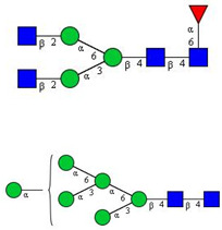 graphic file with name cancers-12-03700-i015.jpg