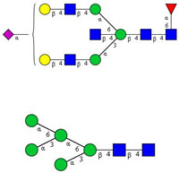 graphic file with name cancers-12-03700-i013.jpg