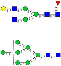 graphic file with name cancers-12-03700-i017.jpg