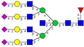 graphic file with name cancers-12-03700-i001.jpg