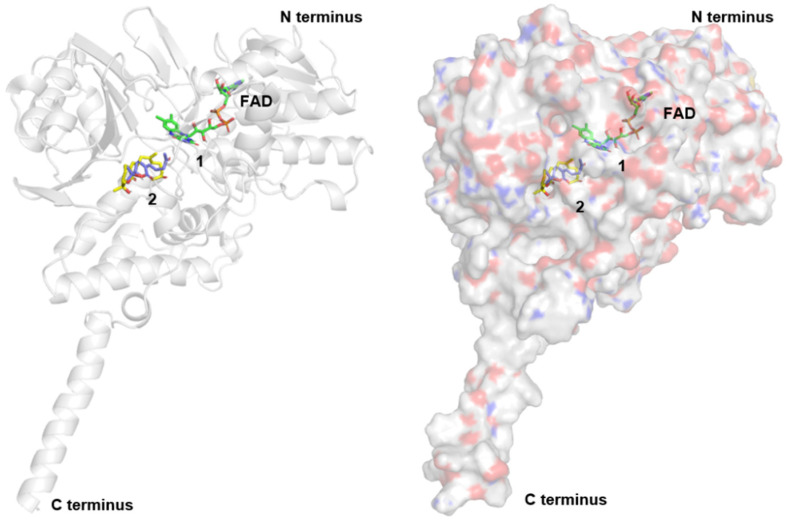 Figure 4