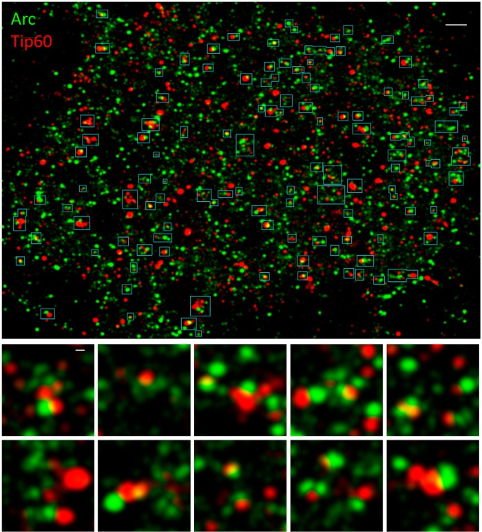 Figure 7