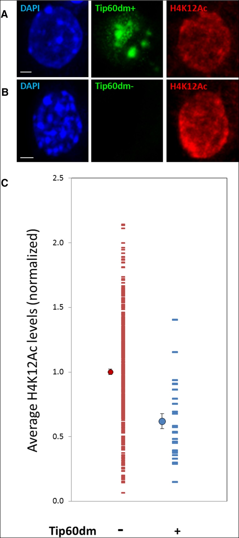 Figure 11